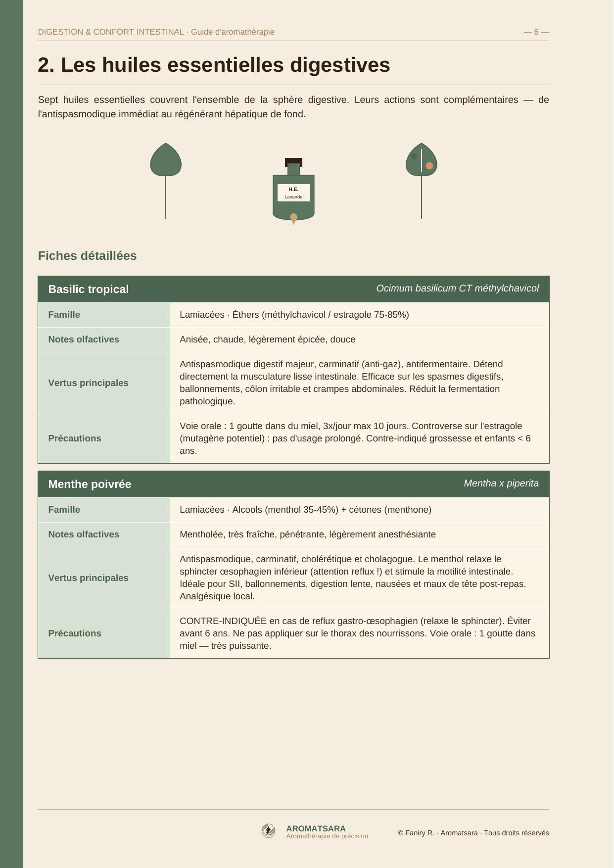 Digestion & Confort Intestinal — Fiches huiles essentielles