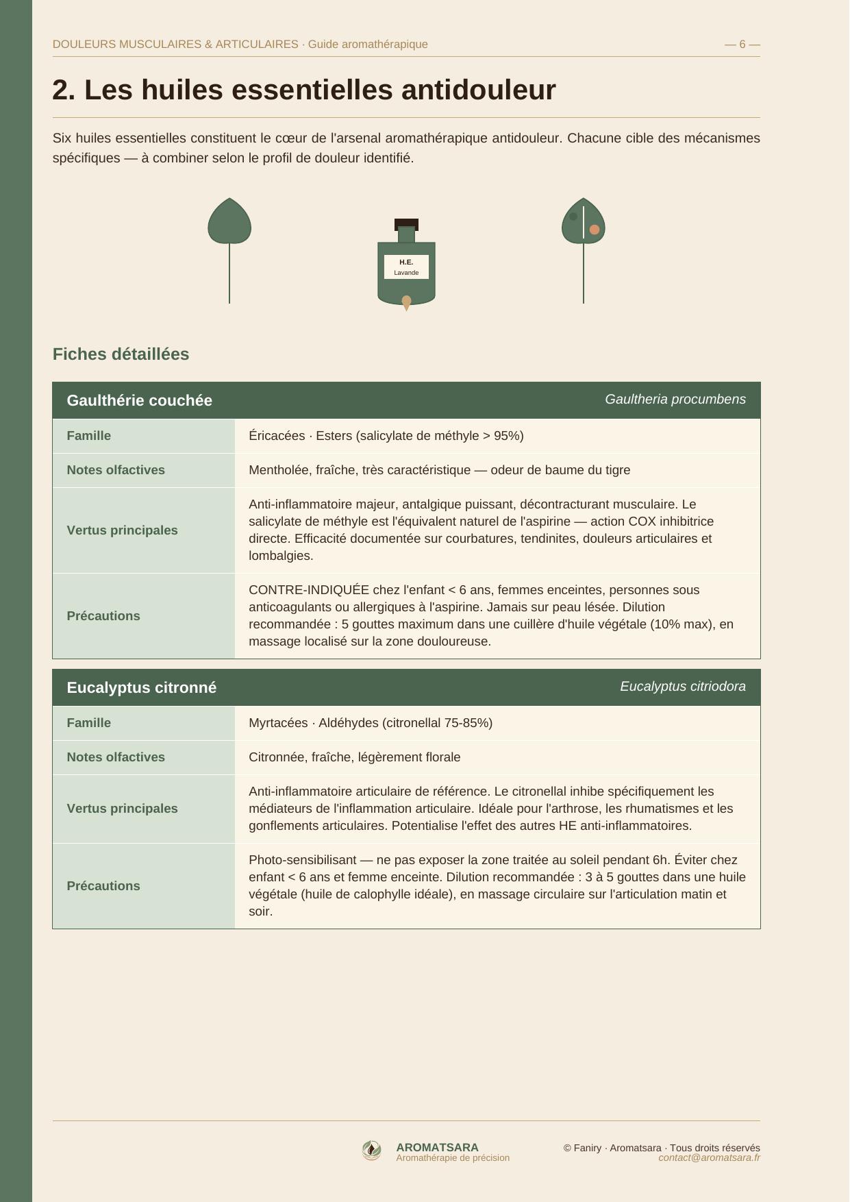Douleurs Musculaires & Articulaires — Fiches huiles essentielles