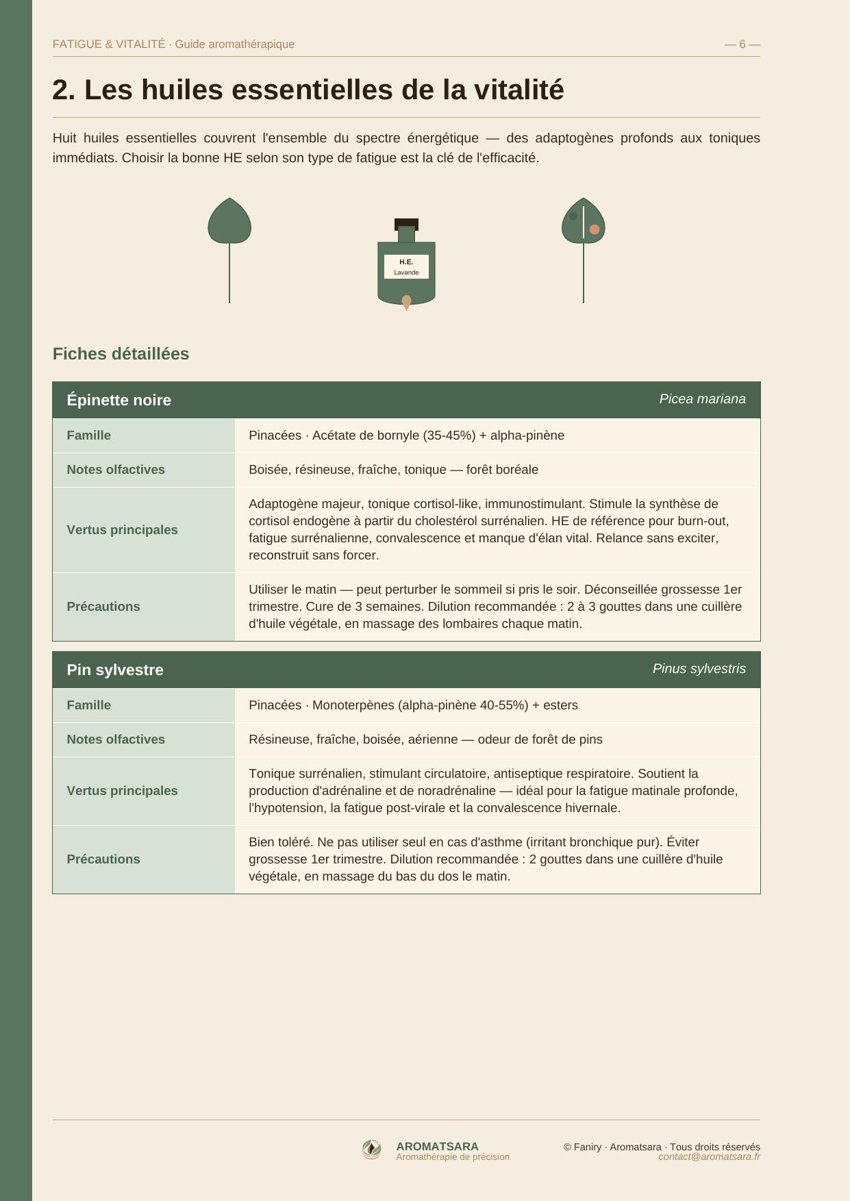 Fatigue, Vitalité & Bien-être — Fiches huiles essentielles