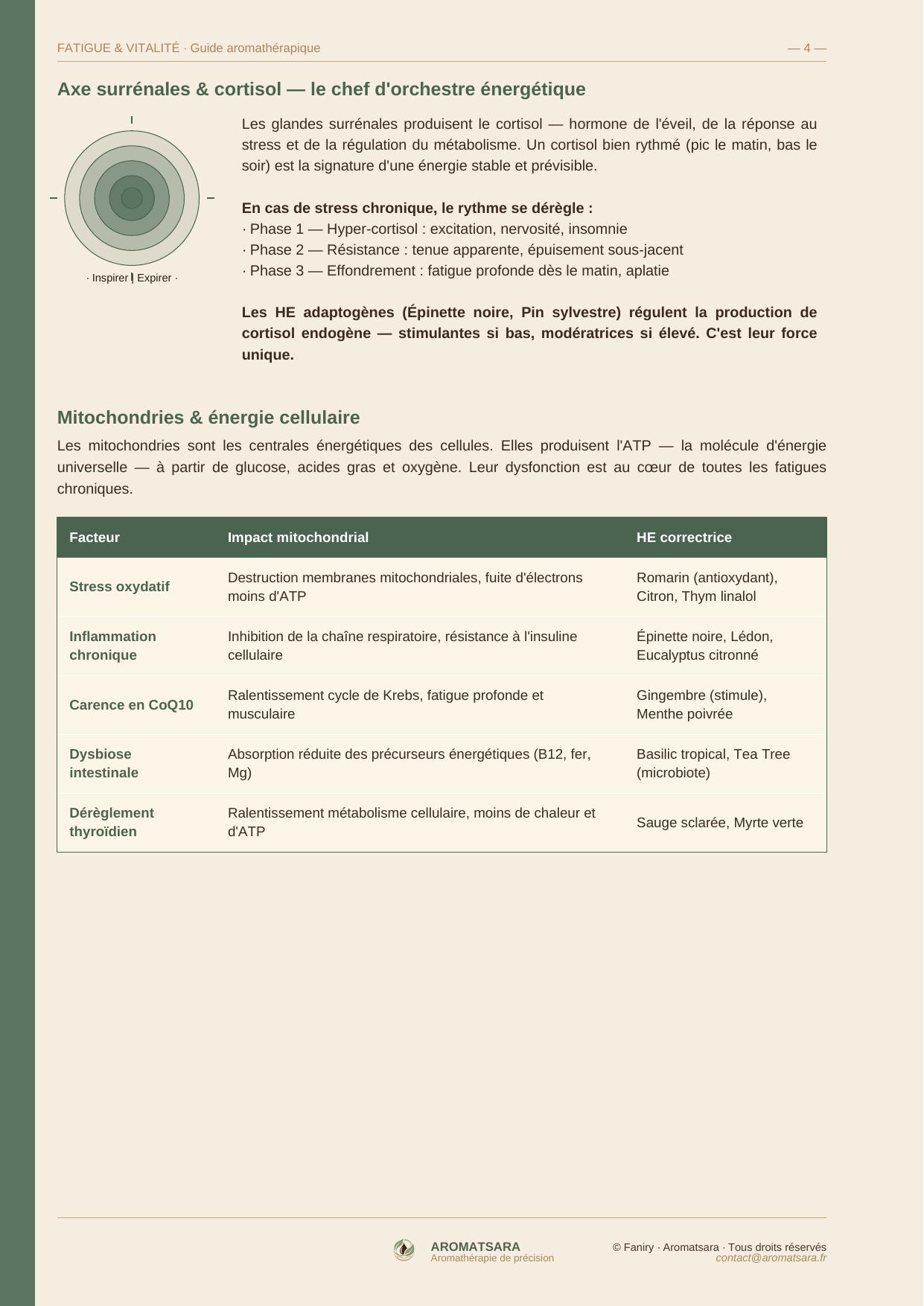 Fatigue, Vitalité & Bien-être — Comprendre